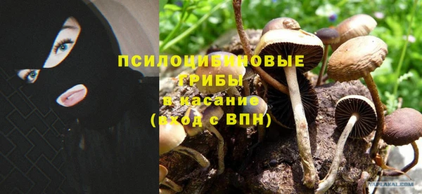 эйфоретик Алексеевка